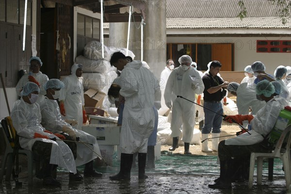 THAILAND, Phuket, Tsunmai. Volunteers being hosed down after retrieving dead bodies.