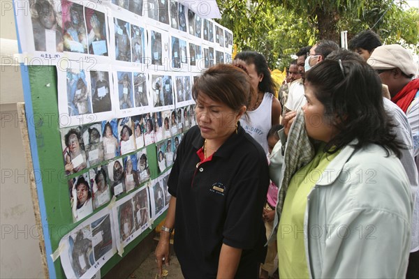 THAILAND, Phang Nga District, Takua PA, "Tsunami. Thai's look at the pictures of the unidentified dead posted up outside the temple, wat Yan Yao 130kms north of Phuket on the 31st Dec."
