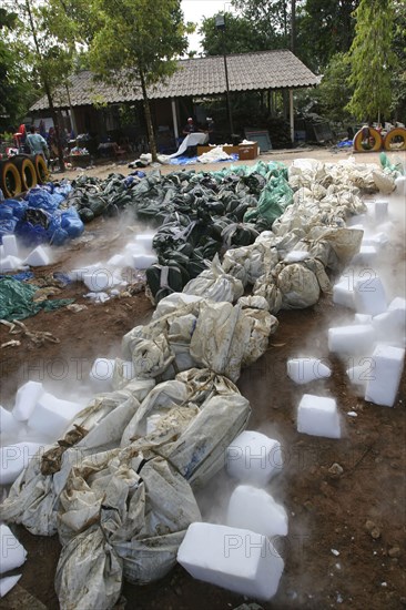 THAILAND, Phang Nga District, Takua PA, "Tsunami. Dry ice blocks lay around the bodies to try and preserve them to ID, but with the huge number of deaths and nowhere to store them all quickly them have mostly been left out in the sun for several days that bodies are decaying so much that identiving the bodies has become that much harder. At the outdoor morgue where 100's of corpses are being stored without refridgeration , awaiting DNA identification. At a temple wat Yan Yao 130kms north of Phuket on the 31st Dec"