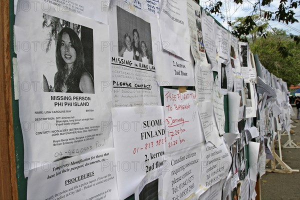 THAILAND, Phang Nga District, Phuket, Tsunami. A picture of Lisa Caroline May from britain with hundreds of other pictures of the missing at the town hall in Phuket town. On the 5th of Jan