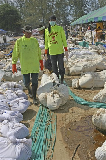 THAILAND, Phang Nga District, Khao Lak Beach, "Thai volunteers sought the bodies out so they can be put into body bags, and then they can be taken to the morgue, where they will have DNA samples taken from them. Near Khao Lak, about 100kms north of Phuket. On the 31st Dec"