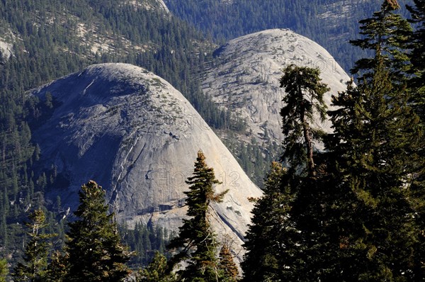 USA, California, Yosemite NP, North Dome & pines from Glacier Point