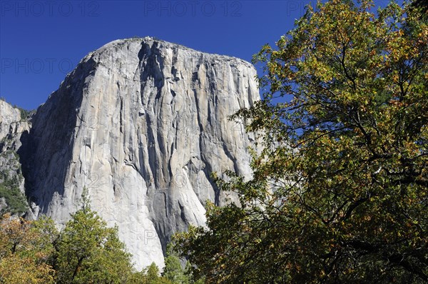 USA, California, Yosemite NP, El Capitan mountain from Valley floor