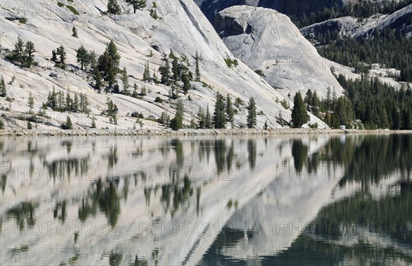 USA, California, Yosemite NP, Tenaya Lake with reflections
