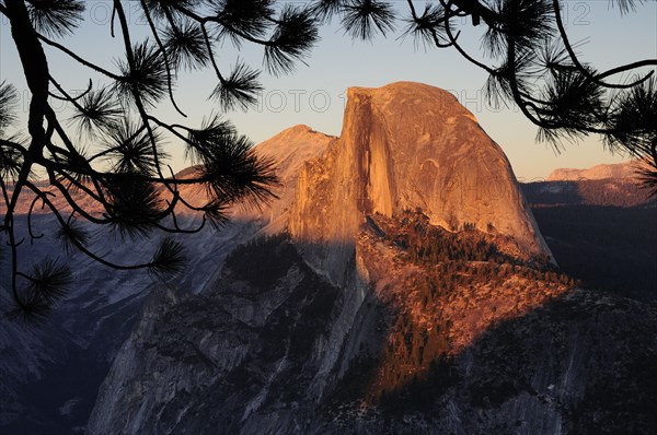 USA, California, Yosemite NP, Half Dome at sunset with pine branch silhouette