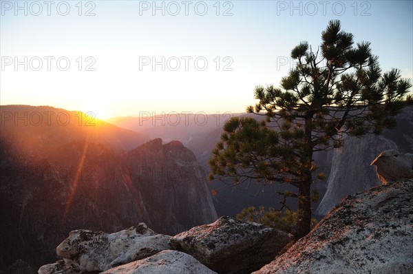 USA, California, Yosemite NP, Sunset from Taft Point with pine tree