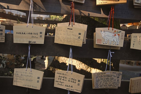 JAPAN, Honshu, Tokyo, "Jingumae - at Meijijingu shrine, ema wooden cards with New Years resolutions and wishes written on them, some in English, decorated with year of cow"