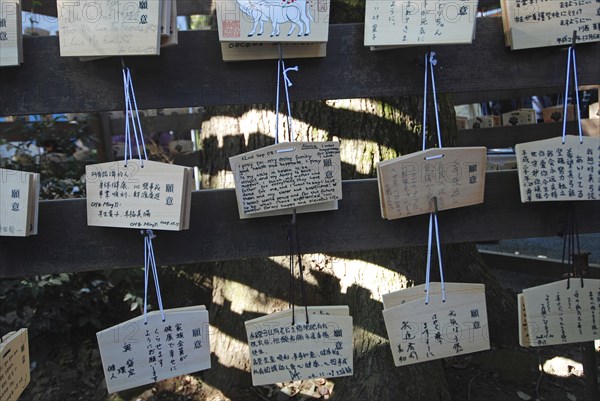 JAPAN, Honshu, Tokyo, "Jingumae - at Meijijingu shrine, ema wooden cards with New Years resolutions and wishes written on them, some in English, decorated with year of cow"