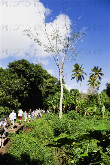 WEST INDIES, Grenada, St Andrew, Cruise ship tourists trekking through the jungle interior towards Royal Mount Carmel Waterfall.
