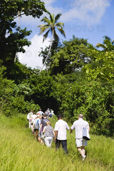 WEST INDIES, Grenada, St Andrew, Cruise ship tourists trekking through the jungle interior towards Royal Mount Carmel Waterfall.