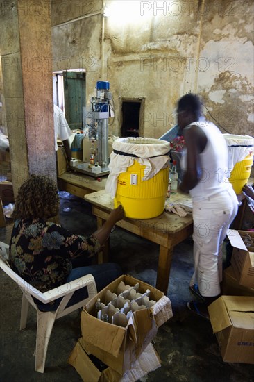 WEST INDIES, Grenada, St Patrick, Female workers hand bottling the rum at the River Antoine distillery.