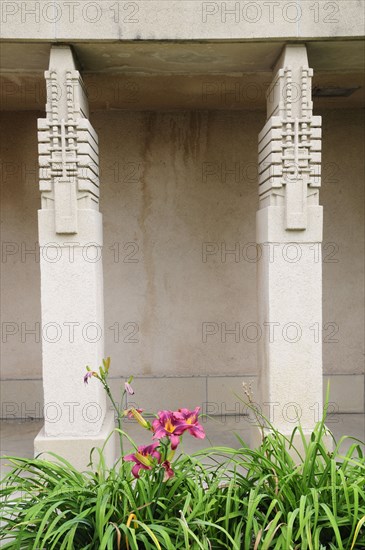 USA, California, Los Angeles, Hollyhock detail on exterior of Hollyhock House