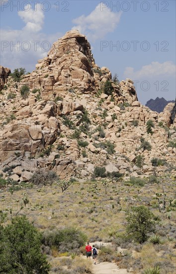 USA, California, Joshua Tree National Park, "Rocks & boulders at Hidden Valley, Joshua Tree National Park"