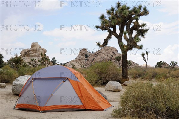 USA, California, Joshua Tree National Park, "Tent Camping at Hidden Valley campground, Joshua Tree National Park"