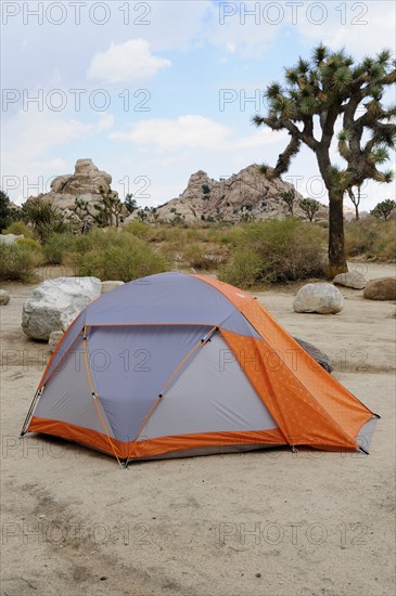 USA, California, Joshua Tree National Park, "Camping at Hidden Valley campground, Joshua Tree National Park"