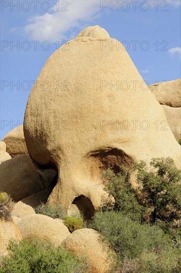 USA, California, Joshua Tree National Park, "Skull Rock, Joshua Tree National Park"