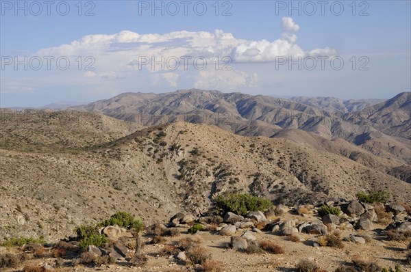 USA, California, Joshua Tree National Park, "Mountain views from Keys View, Joshua Tree National Park"