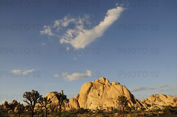 USA, California, Joshua Tree National Park, "Hidden Valley, Joshua Tree National Park"