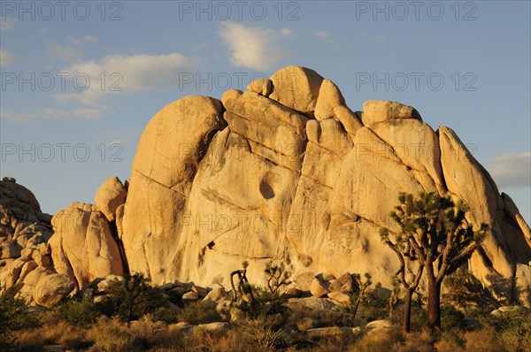 USA, California, Joshua Tree National Park, "Hidden Valley legendary cattle rustler's hideout, Joshua Tree National Park"