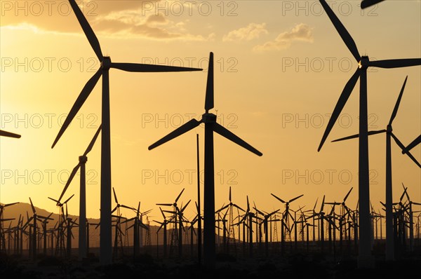 USA, California, Palm Springs, "Windmills, San Gorgonio Pass, Palm Springs. Wind turbine electricity generators."