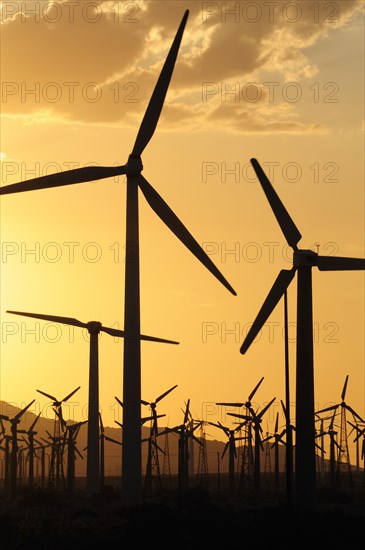 USA, California, Palm Springs, "Windmills, San Gorgonio Pass, Palm Springs. Wind turbine electricity generators."