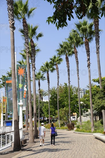 USA, California, Los Angeles, "Palm fringed harbour walk, Rainbow Harbour, Long Beach"