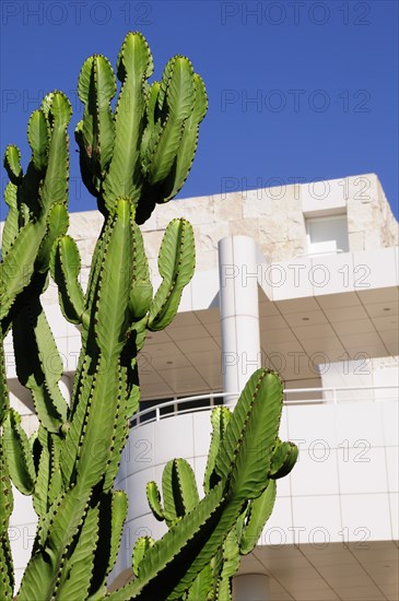 USA, California, Los Angeles, "Cacti & Exhibitions Pavilion, Getty Centre"