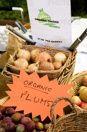 ENGLAND, West Sussex, Findon, Findon village Sheep Fair Baskets of organic onions and plums.