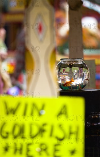 ENGLAND, West Sussex, Findon, Findon village Sheep Fair Goldfish bowl on a fairground stall with a sign reading Win A Goldfish Here and people in the background inverted in the glass bowl.