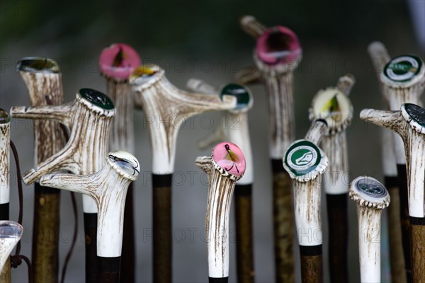 ENGLAND, West Sussex, Findon, Findon village Sheep Fair Display of bone handled walking sticks with fly fishing hooks set into acrylic on the handles.