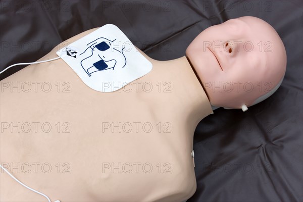 ENGLAND, West Sussex, Findon, Findon village Sheep Fair Medical human dummy with an illustration attched showing the placement of emergency fibulator patches.