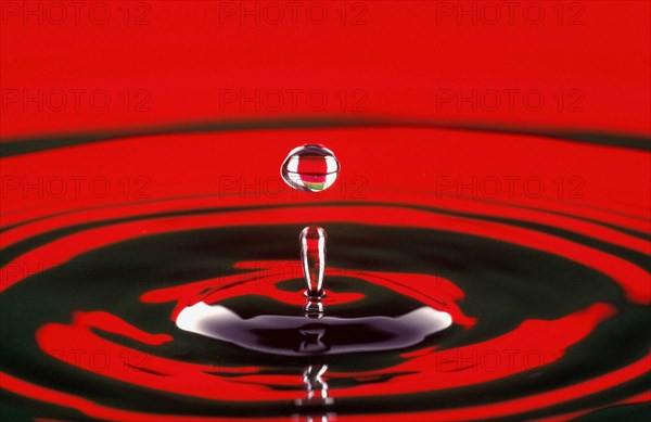 WATER, Droplet, Water drop at moment of suspension and circular ripple effect below.  Bright red reflected colour.