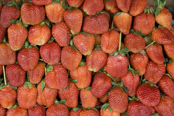 THAILAND, North, Chiang Mai, Close up of locally grown fresh strawberries on sale in market.
