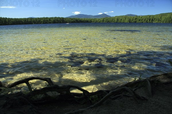 USA, New Hampshire, Tamworth, White Lake Campground with clear shallow water in the foreground.