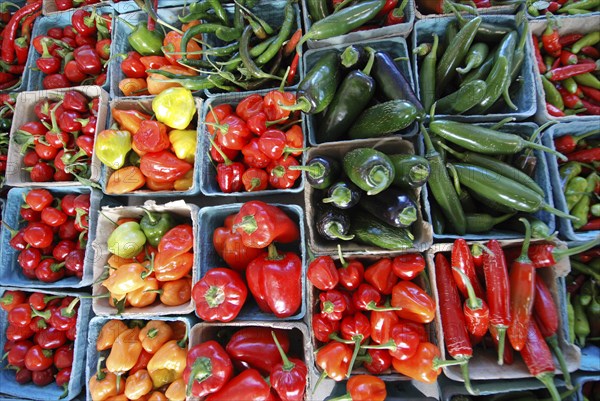 USA, New York State, Rochester, "Public Market, pints of different varieties of hot peppers, colors and shapes, Chilli, Chillies. "