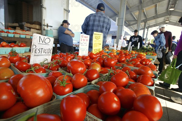 USA, New York State, Rochester, "Public Market, pints of home grown tomatoes, sign says 'no pesticide""."