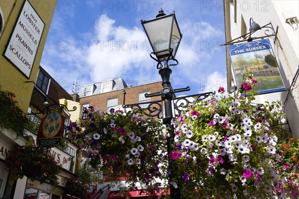 ENGLAND, East Sussex, Brighton, The Lanes Old fashioned streetlight lamppost between Englishs Oyster bar and Seafood Restaurant and The Sussex Pub with flowers in window boxes and hanging baskets.