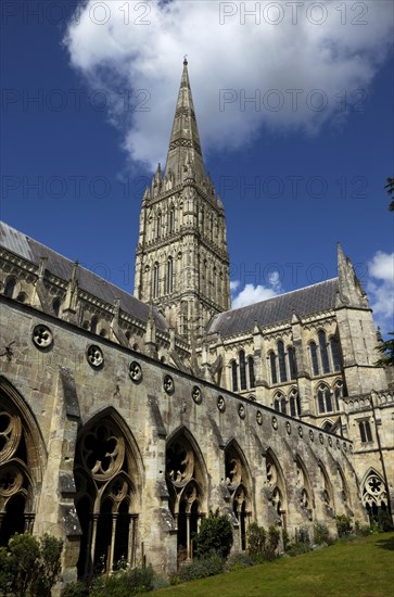 ENGLAND, Wiltshire, Salisbury, "Cathedral, Cloisters and Spire. Tallest church spire in Britain"