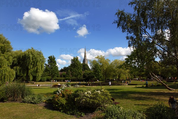ENGLAND, Wiltshire, Salisbury, Cathedral spire seen across public park on Mill Road. Tallest church spire in Britain