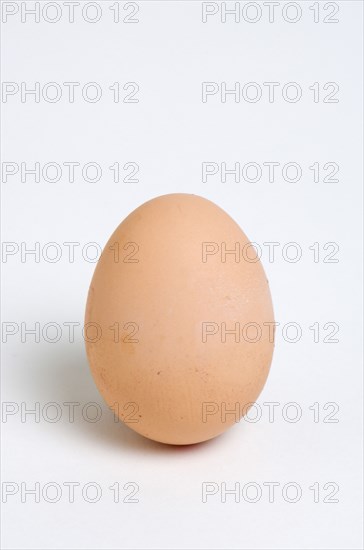 FOOD, Uncooked, Eggs, One hard boiled free range egg on a white background.