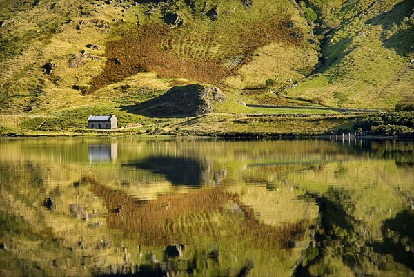 IRELAND, County Galway, Connemara, Kylemore Lough with reflection of stone cottage and animal like shape on hillside.