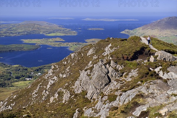 IRELAND, County Galway, Connemara, Diamond Hill, A hiker approaches the summit with Ballynakill Harbour in the background.
