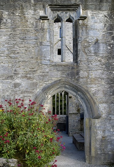 IRELAND, County Kerry, Killarney, Muckross Abbey  Founded in 1448 as a Franciscan Friary  Gothic style doorway.