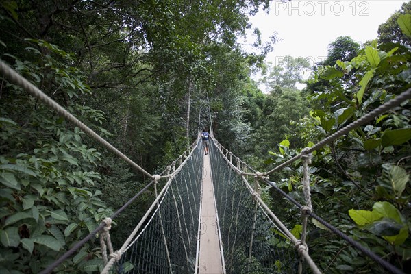 Malaysia, Central Pahang, Taman Negara, People wandering on the canopy walkways of the worlds oldest rainforest.