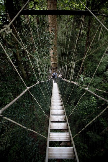 Malaysia, Central Pahang, Taman Negara, People wandering on the canopy walkways of the worlds oldest rainforest.