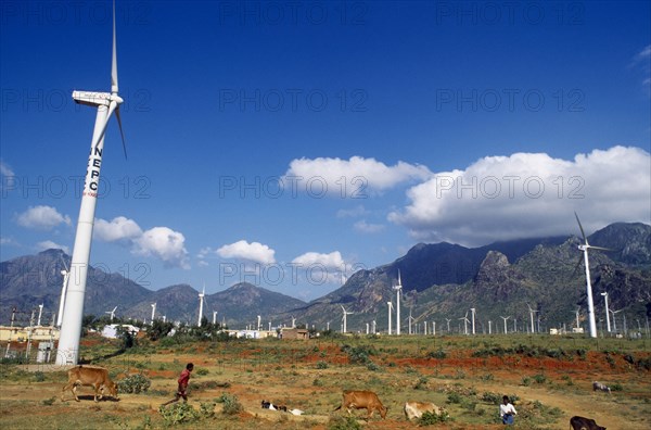 India, Tamil Nadu, Environment, Wind farm with multiple generators, Two men with cattle and goats in foreground.