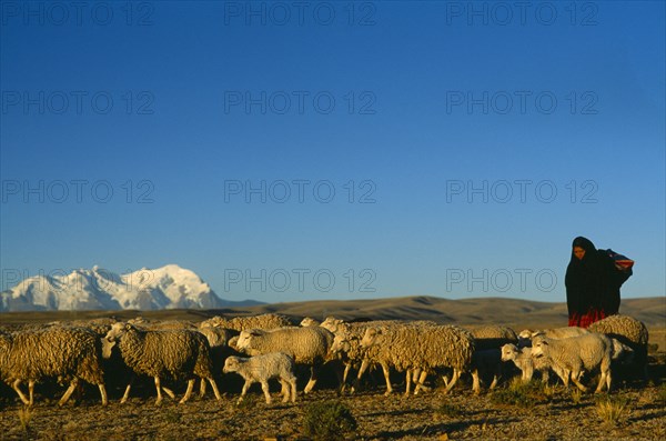 Bolivia, La Paz, Altiplano, Quechua woman with flock of sheep and Illimani mountain peak behind.