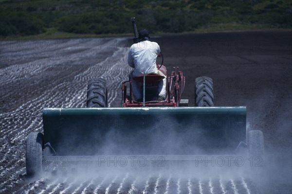 USA, California, Half Moon Bay, Dispersing lime prior to planting to increase favourable microbial activity, pH and calcium availability and produce better soil structure and higher yields.