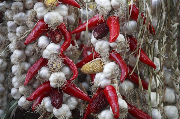 Poland, Krakow, strings of garlic, pepper & maize.