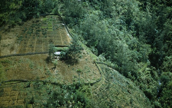 Ppaua New Guinea, Environment, Deforestation of hillside for agricultural use.  Aerial view over terraces and surrounding forest.